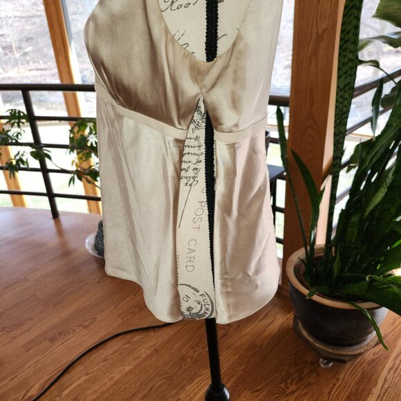 EXPRESS DESIGN STUDIO Shimmery Champaign Colored Fitted Cami - Picture 4 of 8